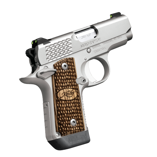 Buy Kimber Micro Raptor Stainless Pistol Online